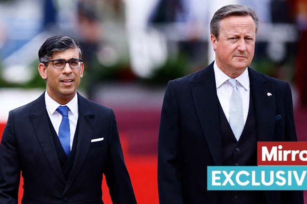 Voters say NHS, schools and potholes have all got worse after Tories' 14 years in power