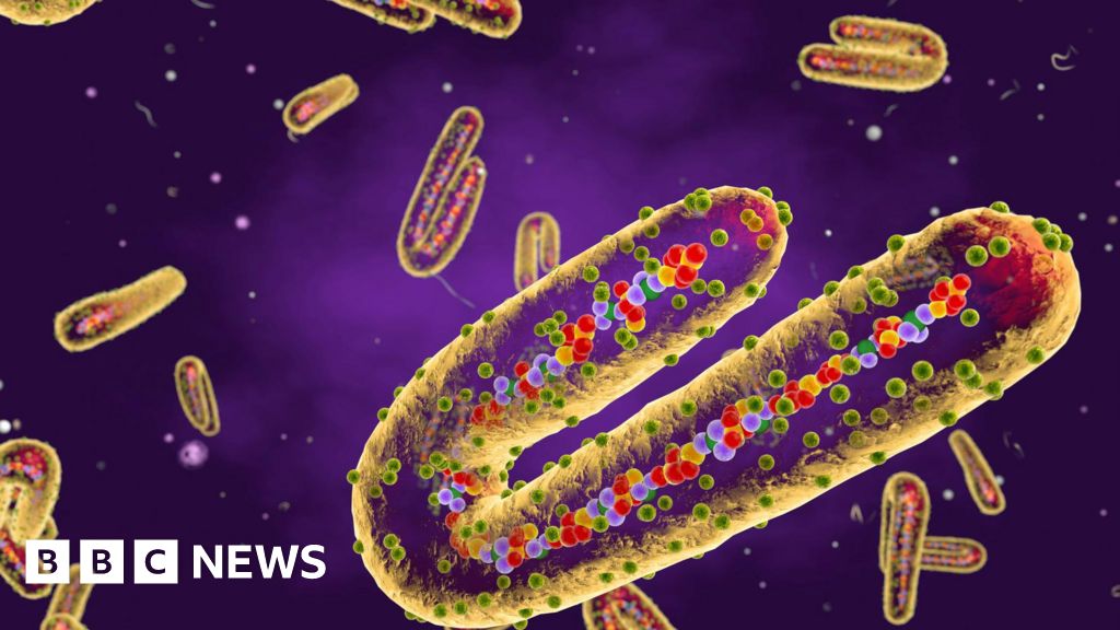 Marburg virus: Scientists to start human testing of vaccine