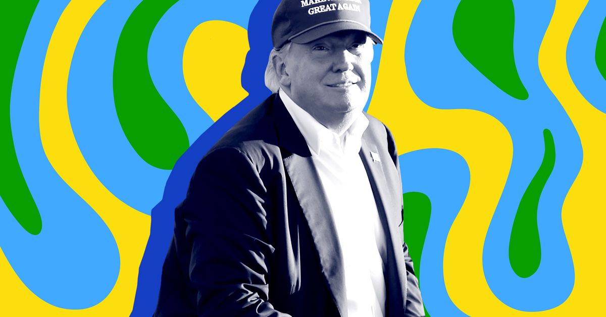 Meta apologies after its AI chatbot said Trump shooting didn’t happen