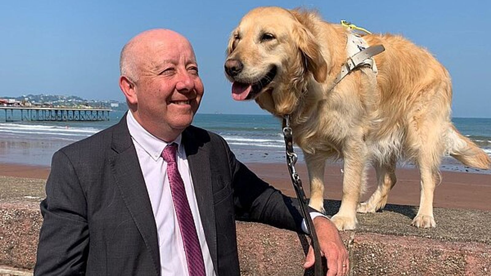 Meet Jennie the guide dog – parliament’s newest furry star | Politics News