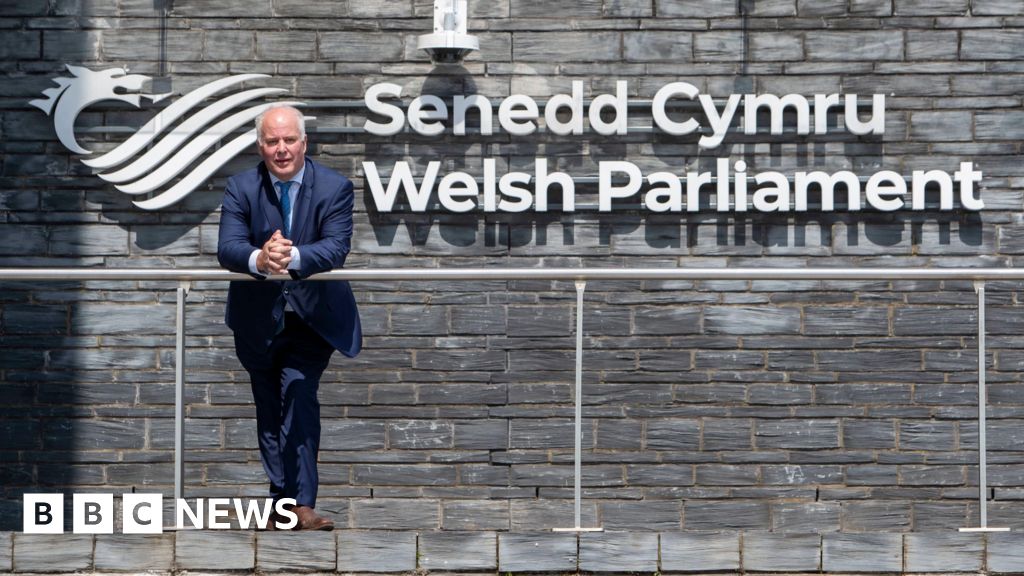 Tory peer criticises Welsh leader’s abolish Senedd poll
