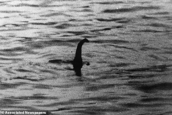 Has Nessie finally been FOUND? Seasoned Loch Ness skipper shares images of monster-like shape caught on sonar