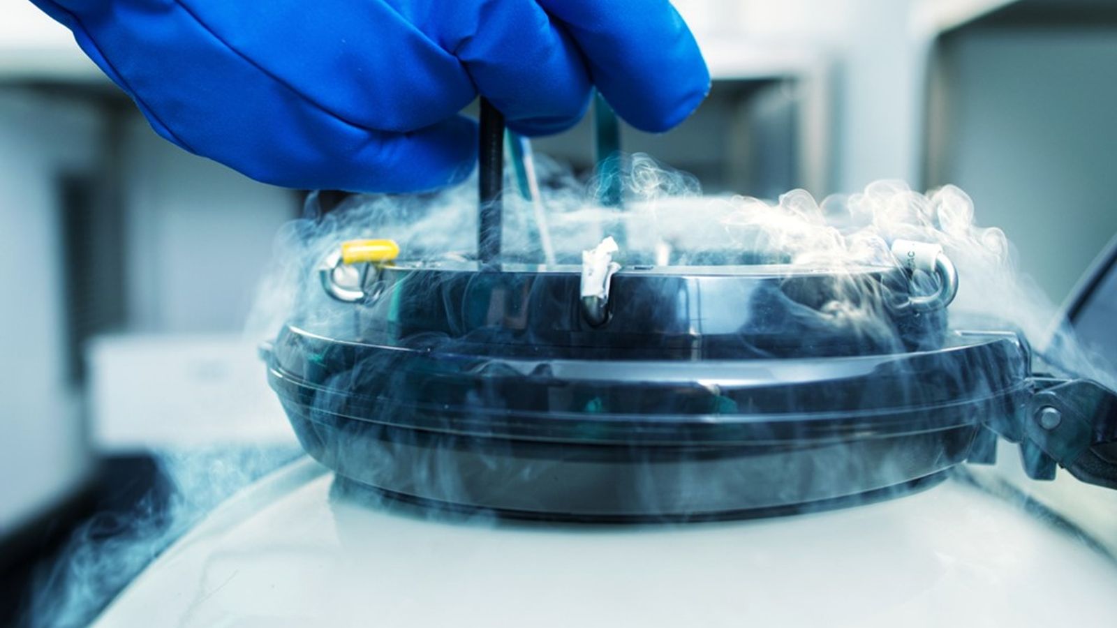 How much does it cost to freeze your eggs and can it go wrong? | Money News