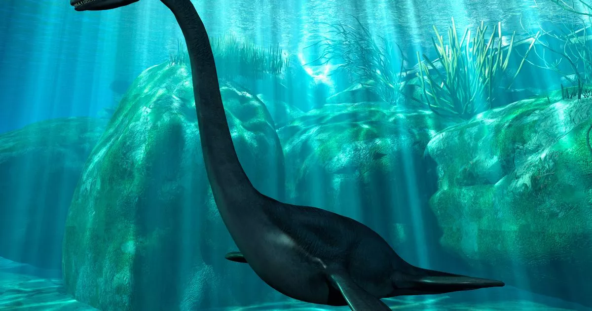 Loch Ness monster in hiding as swimmers scare her into ‘quietest ever year’ for sightings