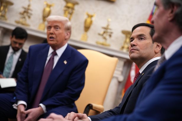 Donald Trump sends officials to Saudi Arabia ahead of Ukraine talks with Vladimir Putin