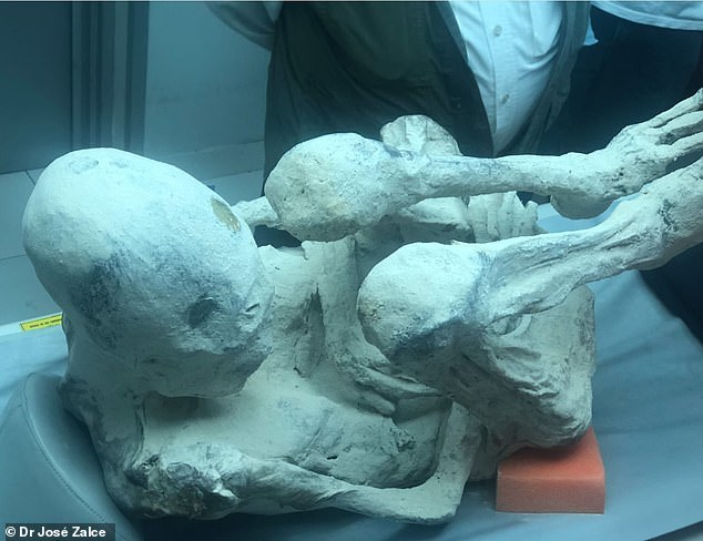 Scientists studying ‘alien mummies’ from Peru claim bodies are ‘100% real’ after new details emerge