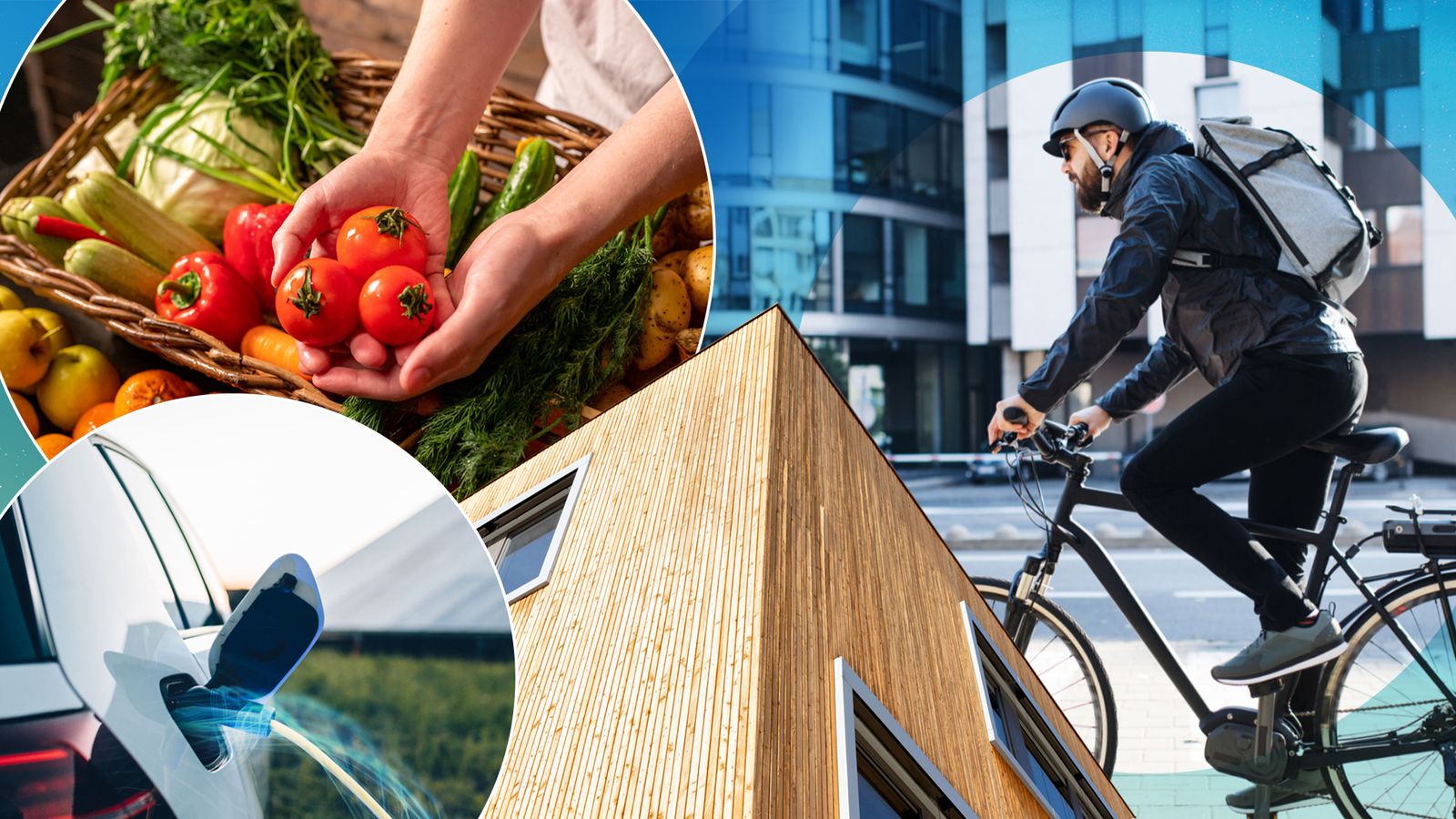 How the climate fight is coming into your home | Science, Climate & Tech News