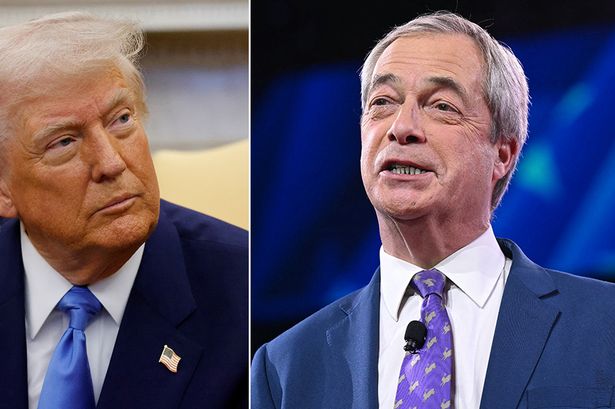 Nigel Farage hurls brutal insult at pal Donald Trump by comparing him to Liz Truss
