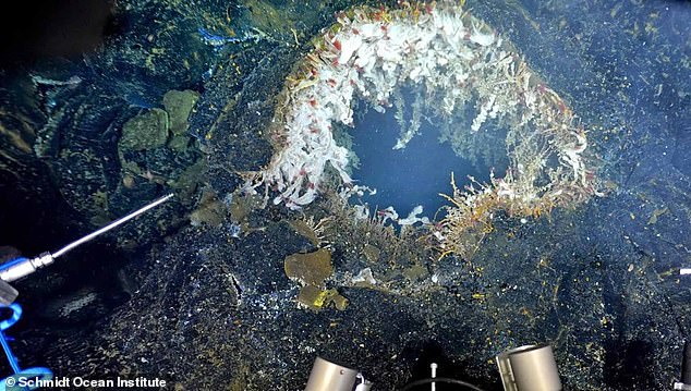 Major US volcano predicted to erupt TOMORROW