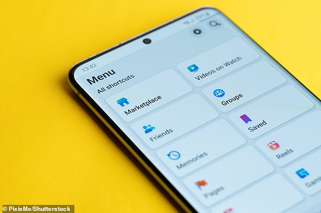 The popular apps that are SPYING on you: Cybersecurity experts issue urgent warning over ‘data hungry’ apps that can access your location, microphone and data