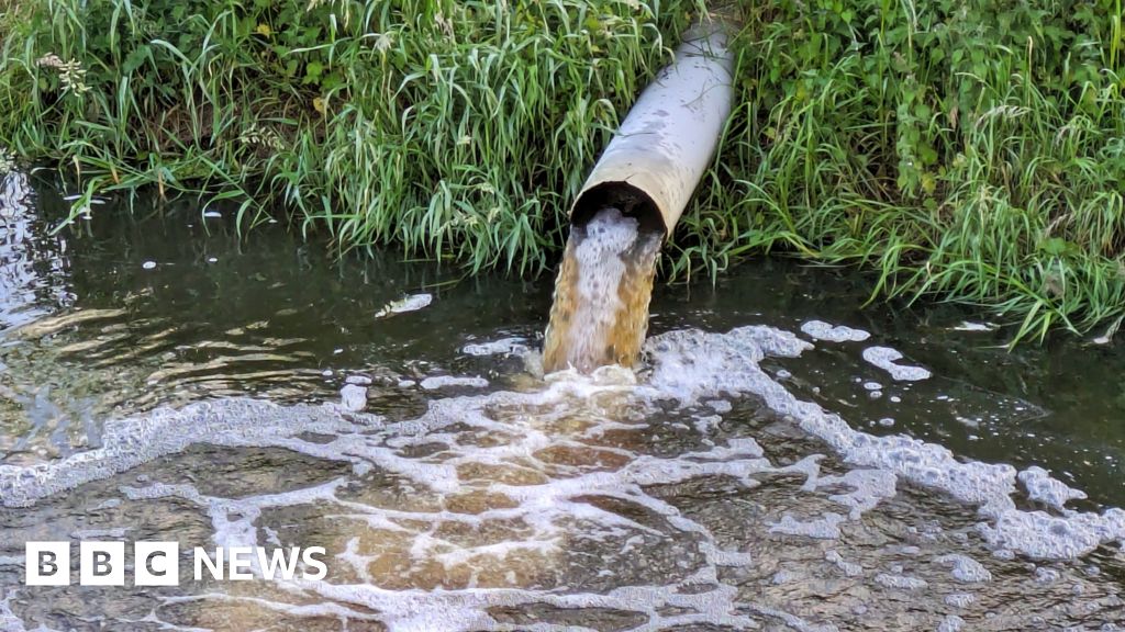 Water company sewage pollution to halve by 2030, minister pledges