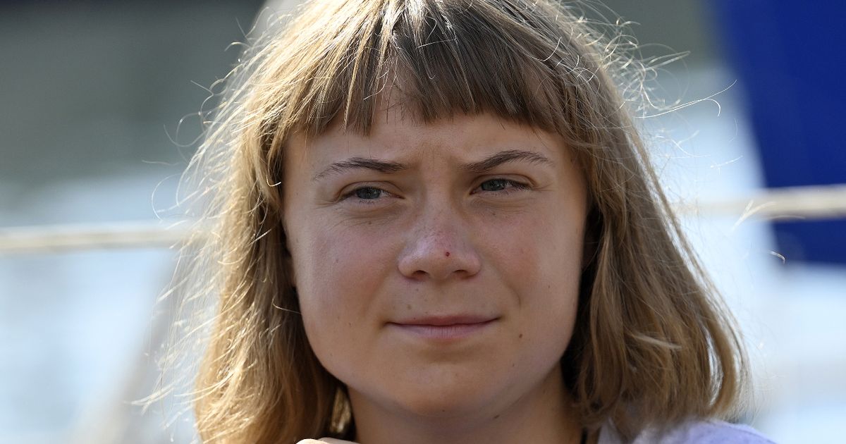 Greta Thunberg compared to Shrek character and cult superhero with dodgy haircut