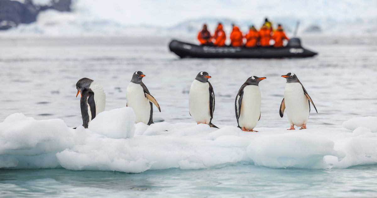 Put your animal knowledge to the test with this new quiz