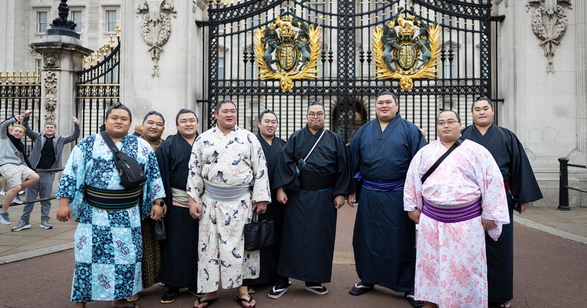 Sumo organisers forced to reinforce toilets and buy bigger chairs for UK tournament