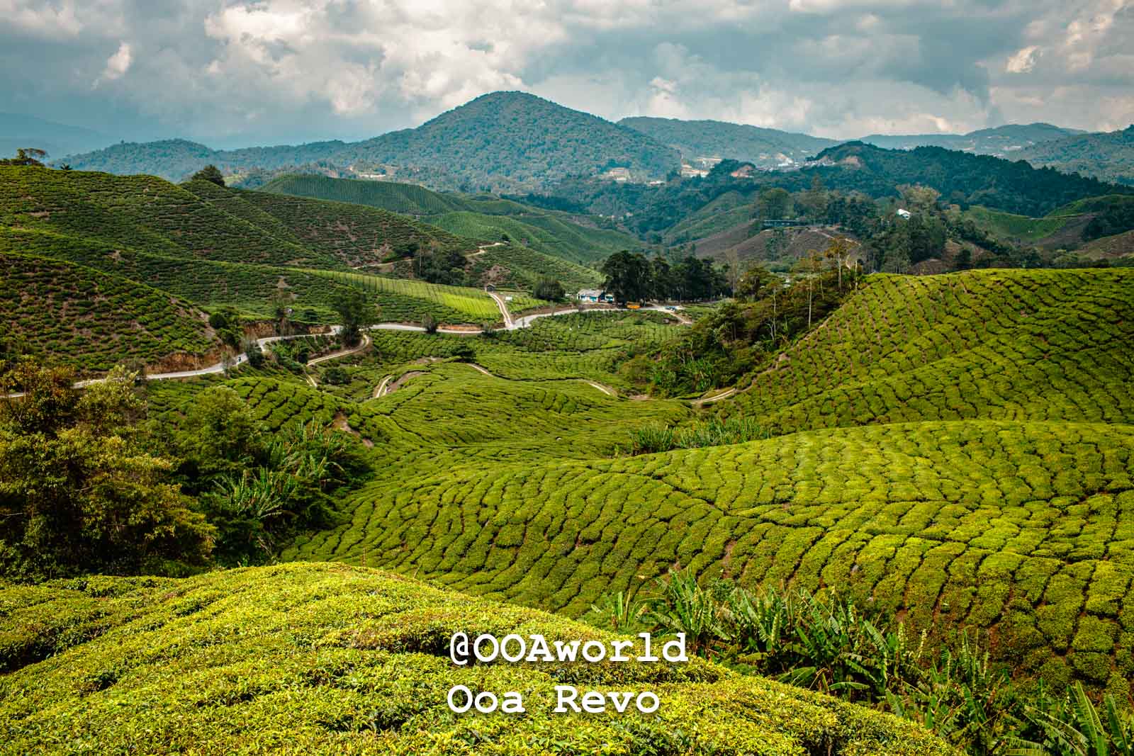 Discovering Eden: 10 Enthralling Photos of Cameron Highlands