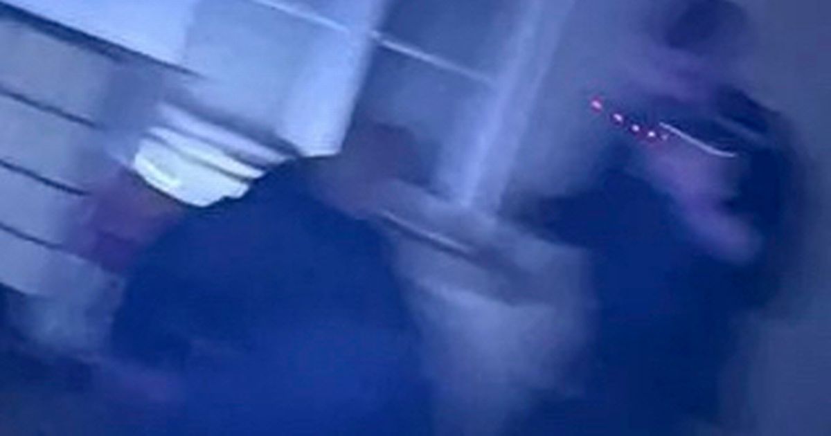 Christmas Day driveway chaos as person seen wrestling with police officers