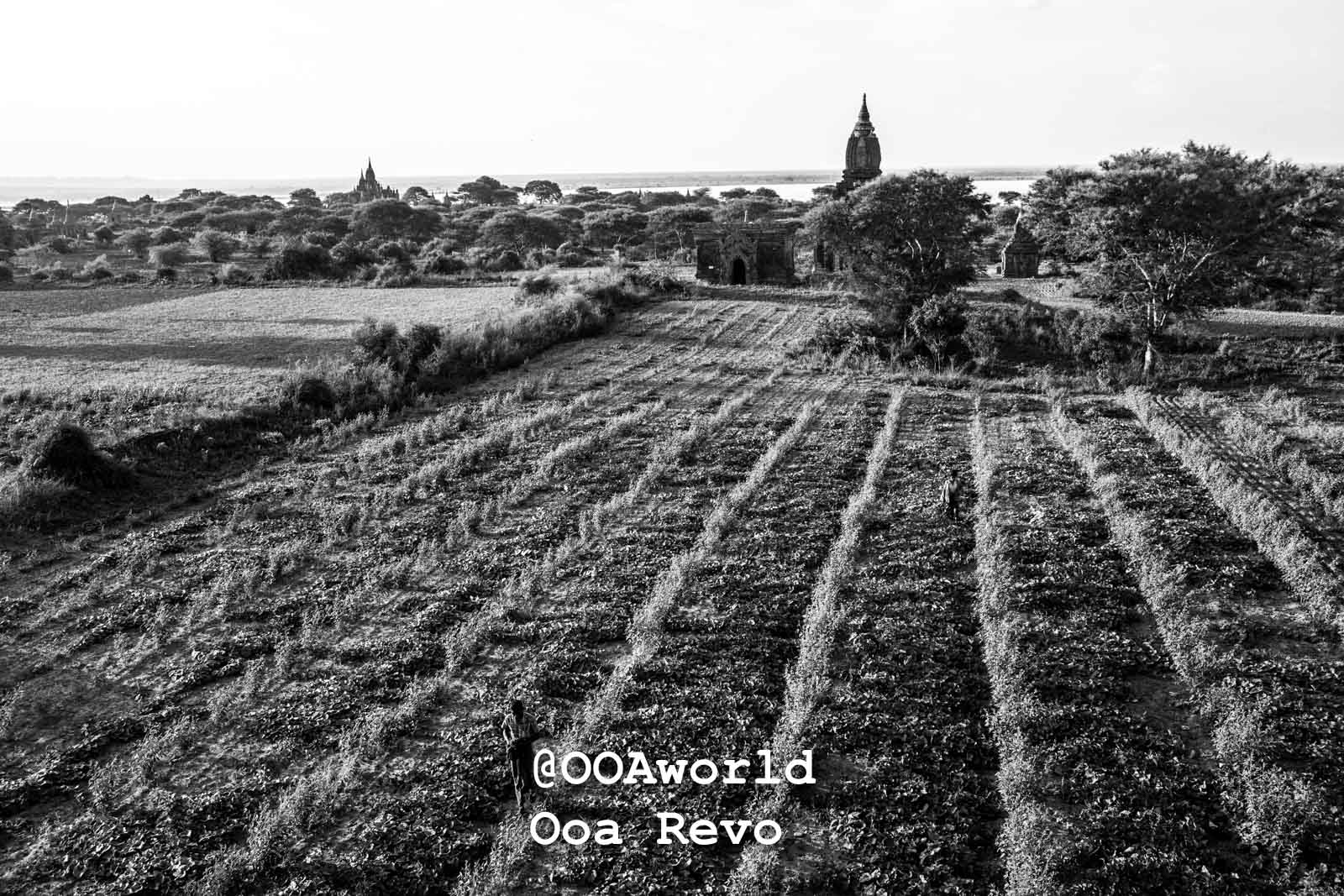 Bagan Myanmar: Travel Photos Landscapes