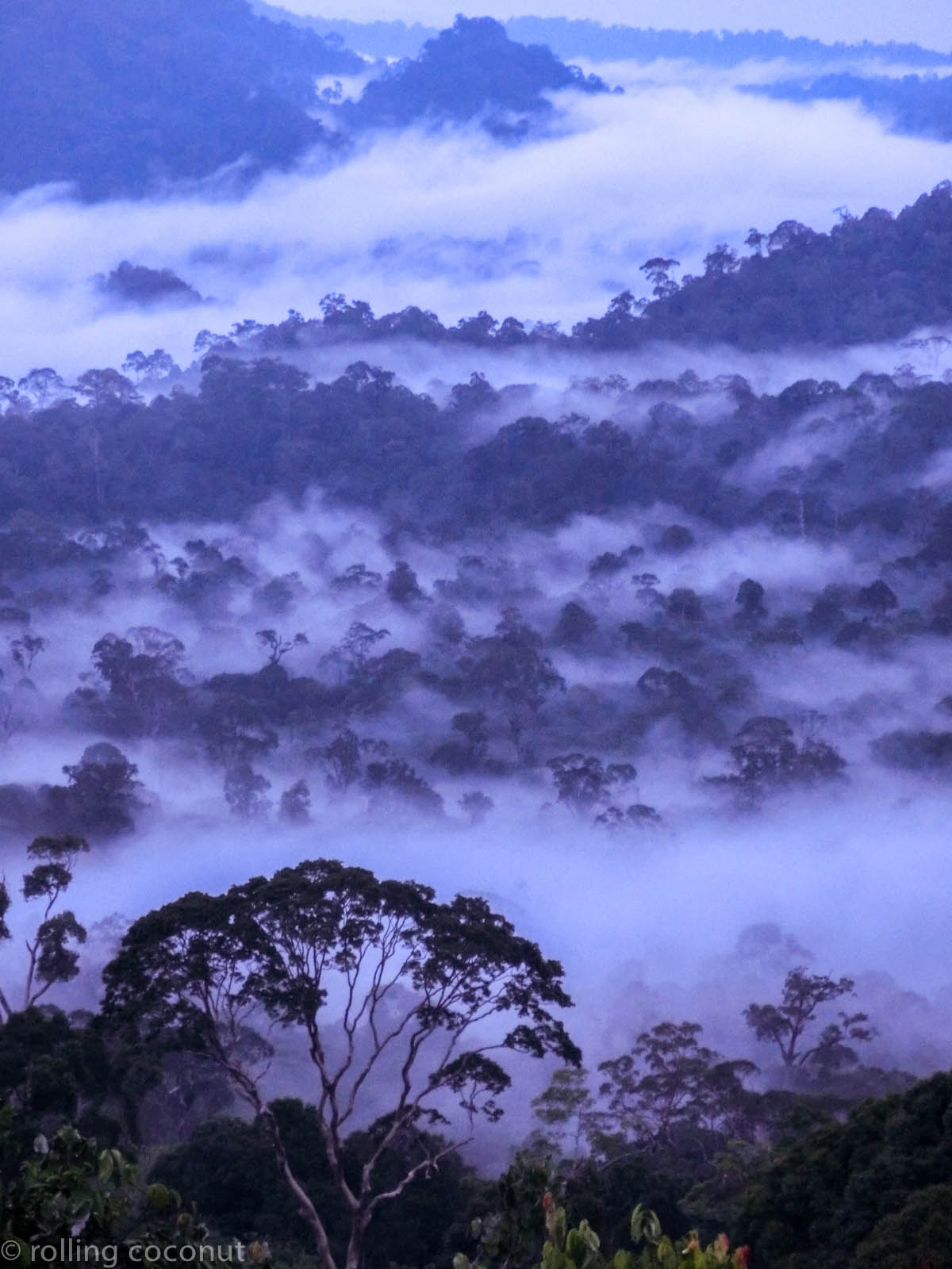 Danum Valley Sunrise, Borneo, Malaysia, Timelapse Movie Asia