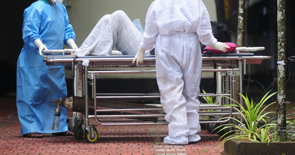 Deadly bat-borne virus with no cure is spreading with ‘epidemic potential’