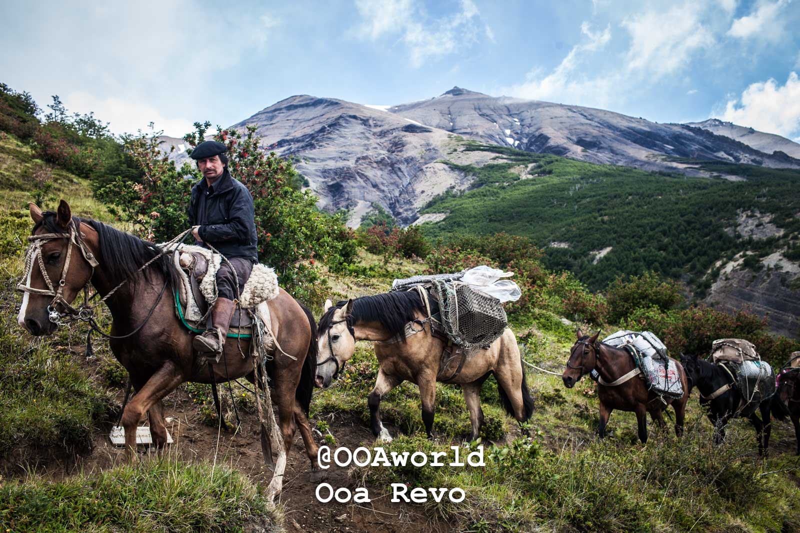 Torres Del Paine Chile W Trek : Day 4 in 19 Travel Photos