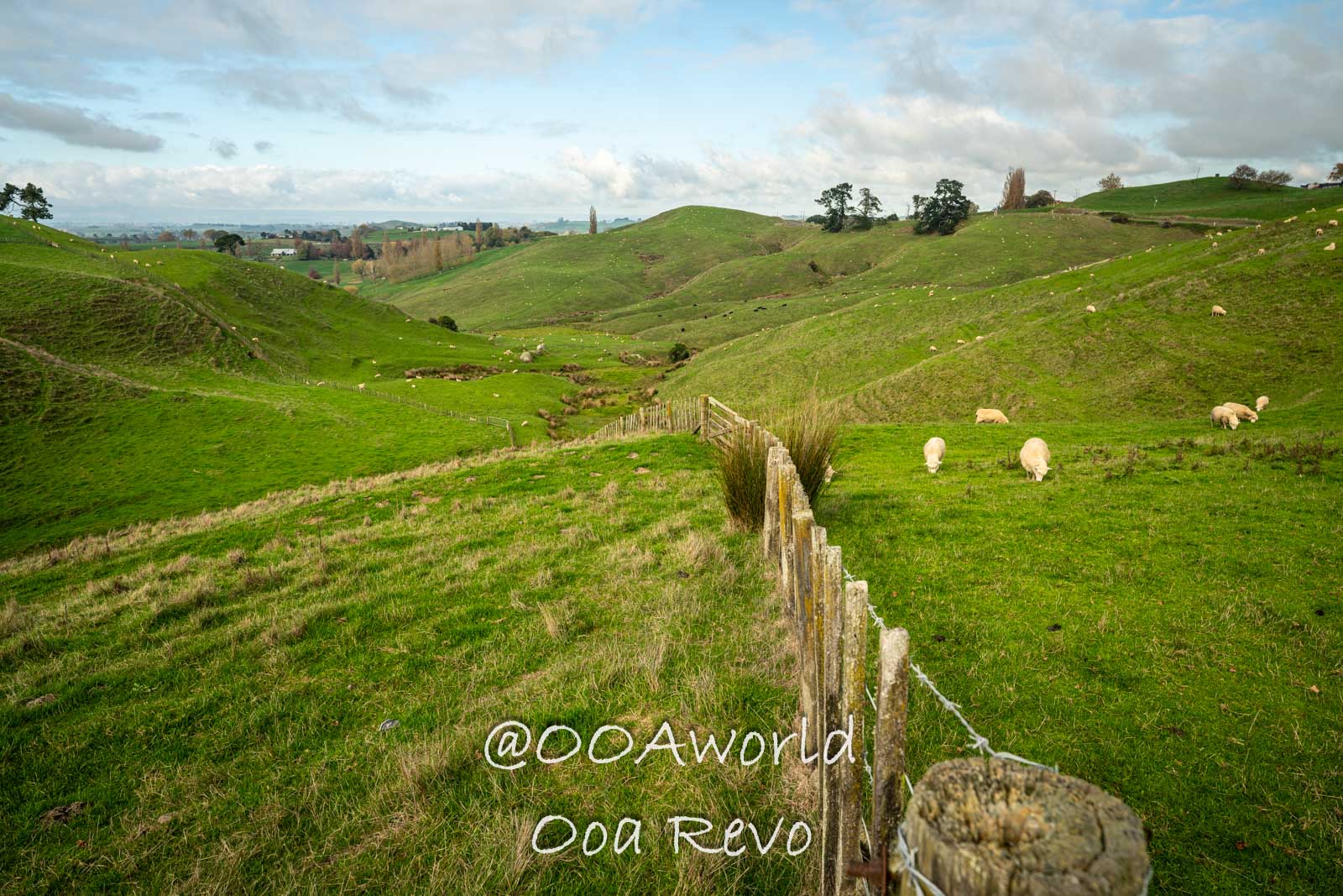 Hobbiton, Coromandel & Auckland: New Zealand