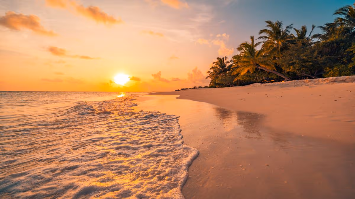 Just-married tourist fighting for life after horror shark attack on Maldives honeymoon