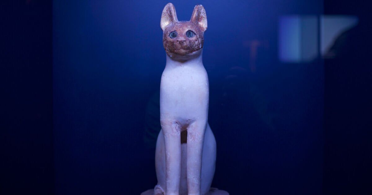 Egypt exhibition details real curses and royal cats | Theatre | Entertainment