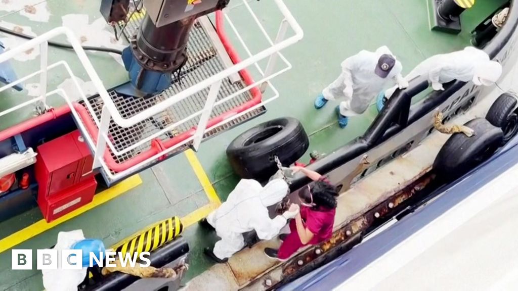 Hantavirus may have spread between passengers on cruise ship, WHO says