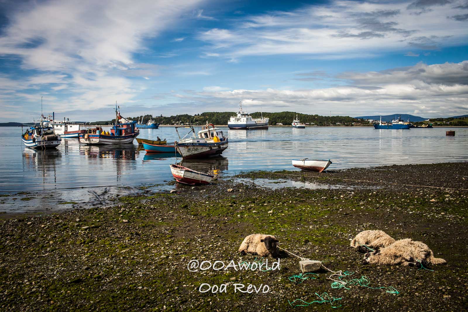 Chiloe through Castro Street: Travel Photos