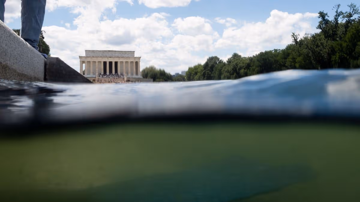 Donald Trump blames bungled $14m swamp green reflecting pool refurb problems on ‘vandals’