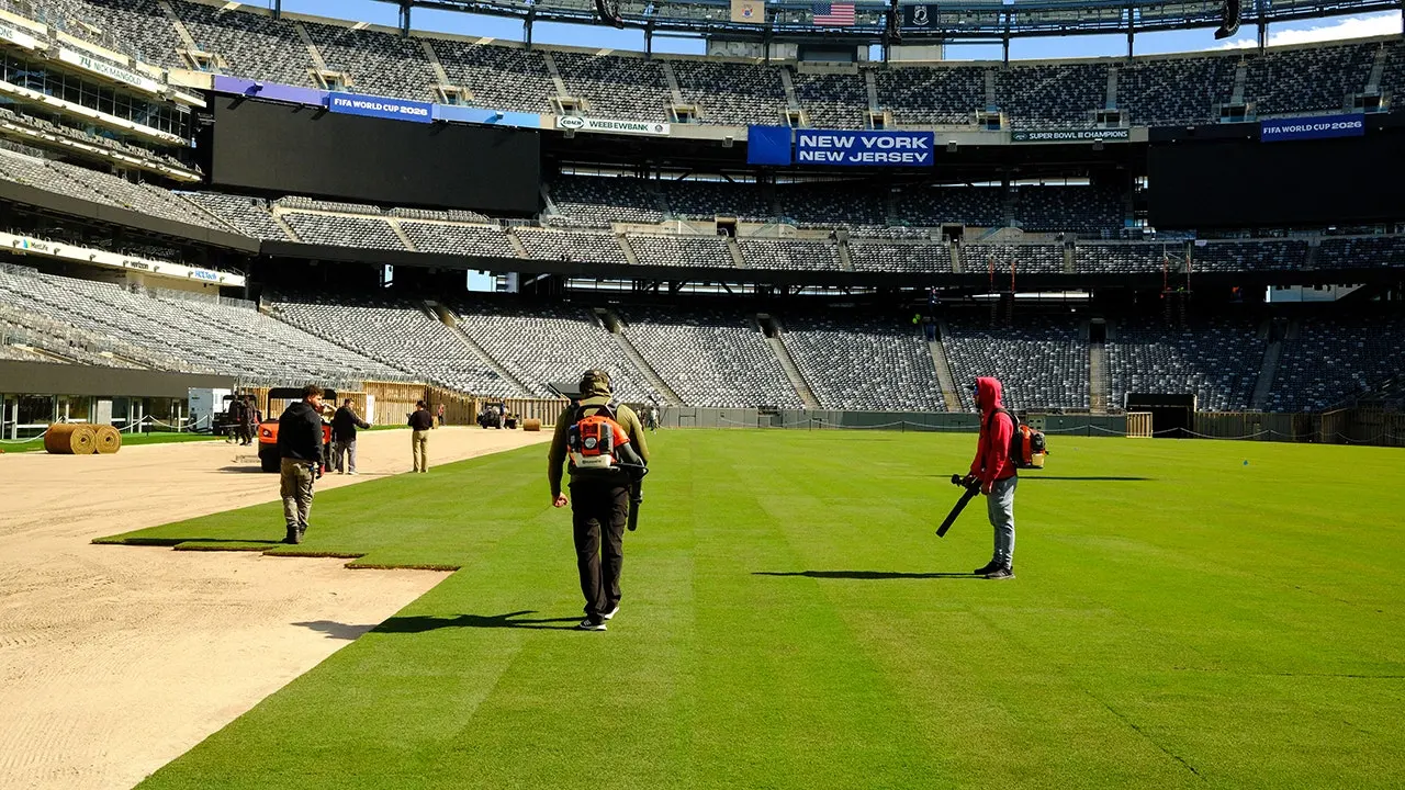 World Cup grass fields will spark NFL turf conversation, Stu Holden says