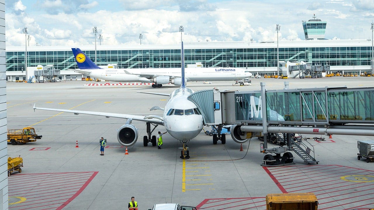 Malaria at Frankfurt Airport kills 2 of 6 infected workers as officials investigate