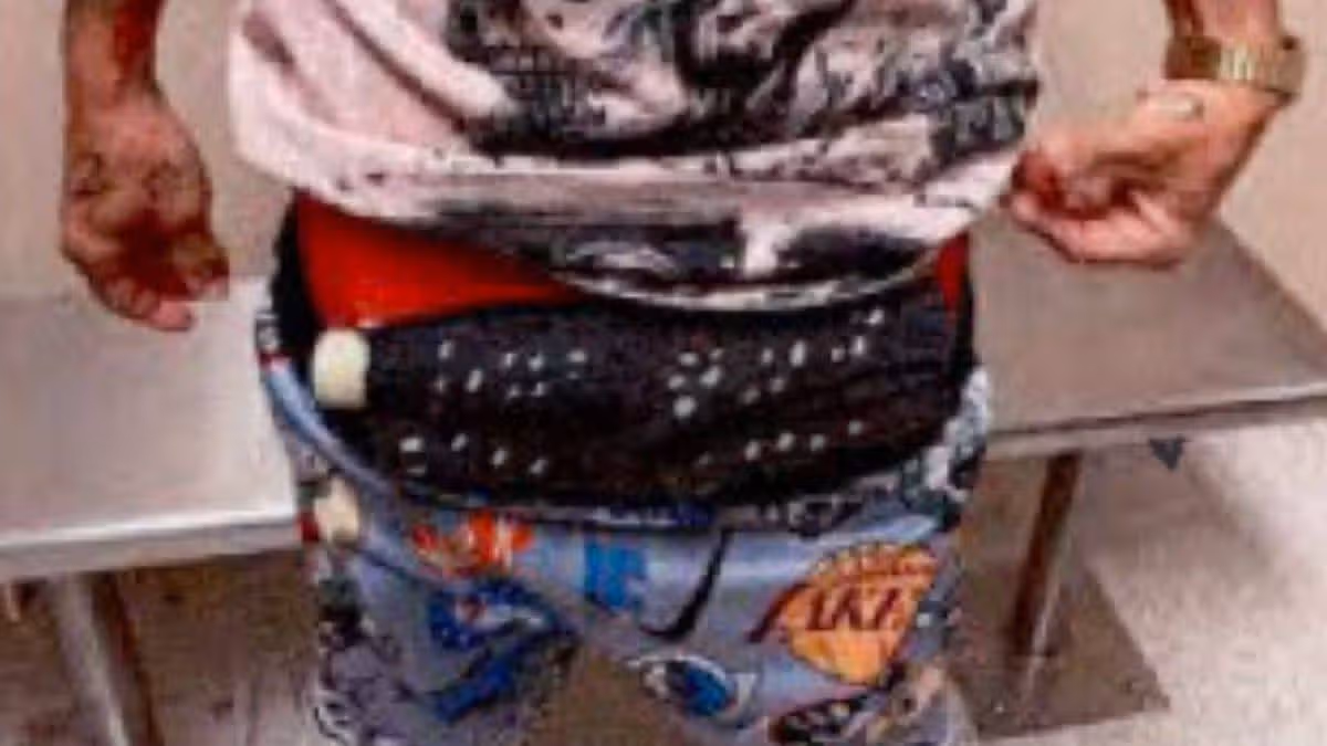 Passenger with ‘unexplained bulge’ had 10 live birds stuffed down his pants