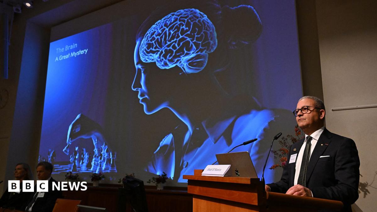 Nobel Prize 2026 awarded for showing inner workings of the brain