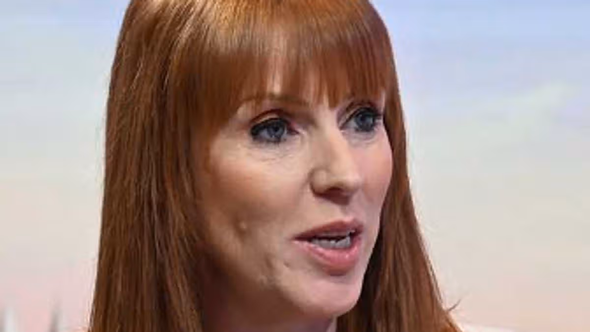 Angela Rayner insists nothing ‘off the table’ in Andy Burnham’s EU talks