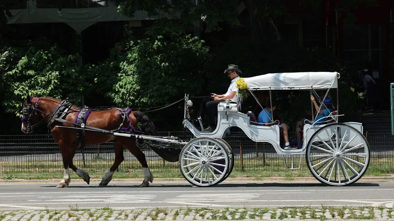 Mamdani, NYC leaders agree to ban Central Park horse-drawn carriages by 2028